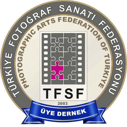 TFSF Logo