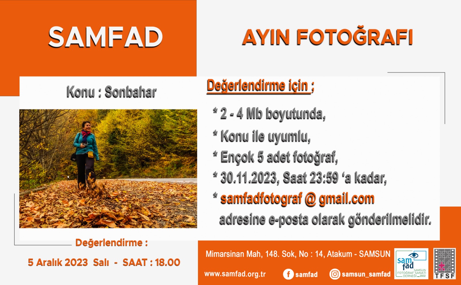 Ayın Fotoğrafı