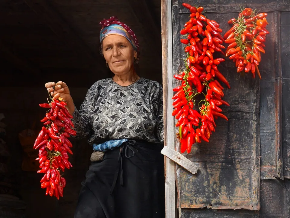 Esat Ferruh Gürsel (GİFOD)