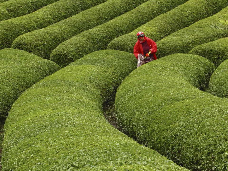 Mehmet İnal (Trabzon Fotoğrafevi)